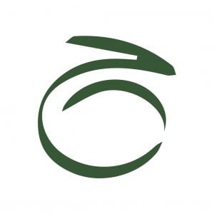 hamid logo